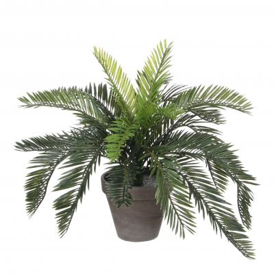Plante artificielle Vert Plastique H37xl44xL44cm