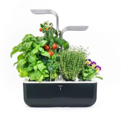 VERITABLE Potager d'int&eacute;rieur V&eacute;ritable&reg; SMART - Soft Black