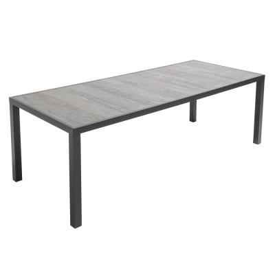 OVIALA Table de jardin en aluminium et c&eacute;ramique 10 places effet b&eacute;ton cir&eacute;