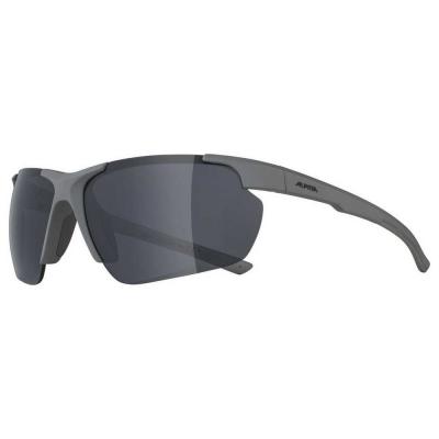 ALPINA  Snow Defey Hr Sunglasses Gris Black Mirror/CAT3