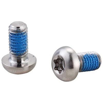 ELVEDES  CP2015153 Vis de Fixation Disque Titane Mixte Adulte, Argent