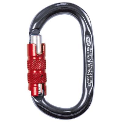 CLIMBING TECHNOLOGY  Mousqueton Anodis&eacute; Pillar Tg 