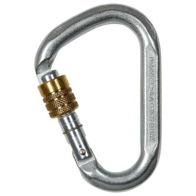  Mousqueton Snappy Steel Sg Climbing Technology