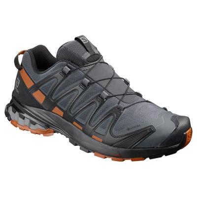 SALOMON  - XA Pro 3D V8 GTX - Chaussures multisports taille 7, gris