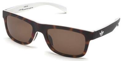 ADIDAS  Aor005-148001 Sunglasses Marron Homme 
