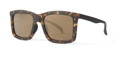 ADIDAS  Aor015-148009 Sunglasses Marron Homme 