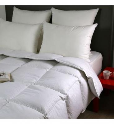 DODO Couette-temp&eacute;r&eacute;e- 70% duvet d'oie neuf-Ottawa 