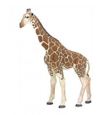 PAPO La Vie Sauvage Girafe