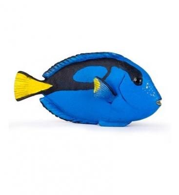 PAPO L'univers Marin Poisson Chirurgien