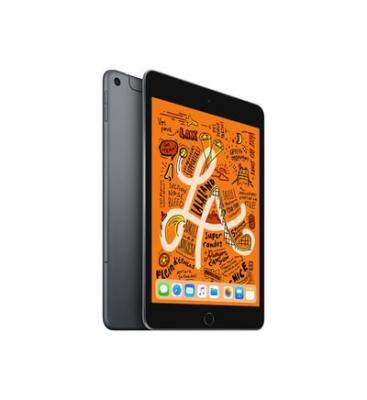 iPad mini Wi-Fi + Cellular 256GB - Gris sid&eacute;ral