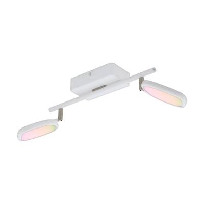 EGLO CONNECT  Palombare-C spot plafond LED 2 lampes