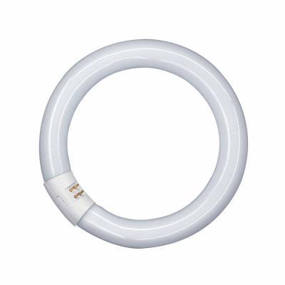 OSRAM  - Tube fluorescent circulaire triphosphore 22W 6500 k
