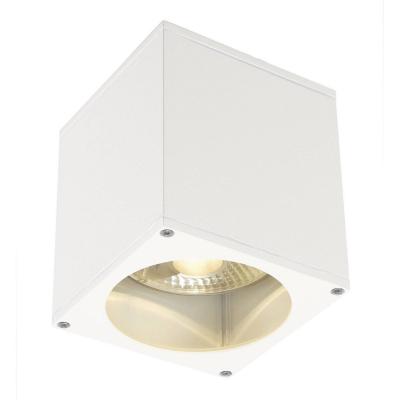 SLV Plafonnier ext&eacute;rieur  BIG THEO, blanc, GU10/QPAR111, 75W max, IP44