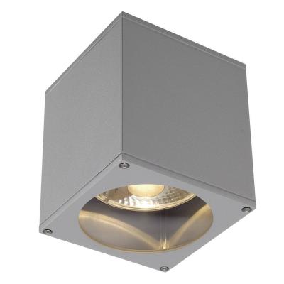 SLV Plafonnier ext&eacute;rieur  BIG THEO, gris, GU10/QPAR111, 75W max, IP44