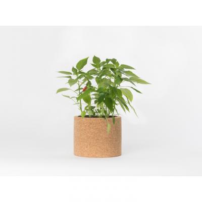 LIFE IN A BAG  - Kit bio pr&ecirc;t &agrave; pousser Piments