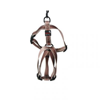 Harnais REFLEX 20-50-70 Gold 