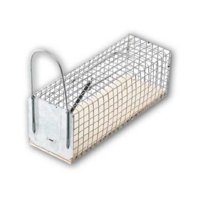 ACTO Nasse &agrave; rats  avec socle en bois
