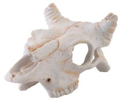 EXO TERRA Exoterra Buffalo Skull D&eacute;coration pour Reptile/Amphibien Taille S