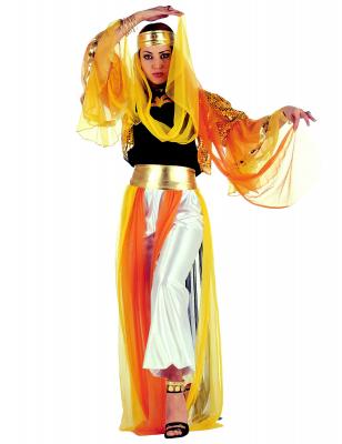 GENERIQUE D&eacute;guisement Danseuse Harem Femme - Multicouleur