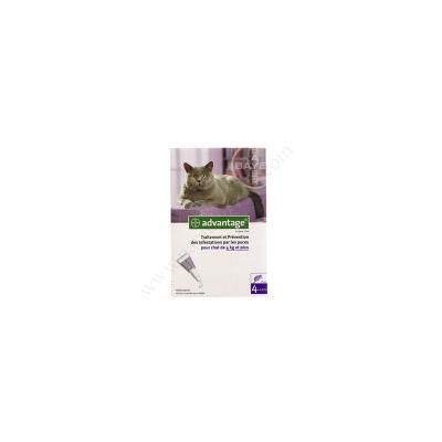 BAYER  ADVANTAGE 80 pour Chat (4 Kg et +) (4 pipettes de 0,8 ml)