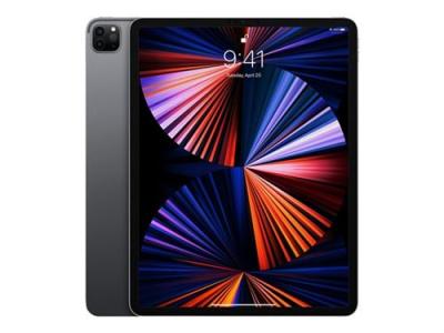 Apple iPad Pro 12,9" WiFi 2021 256Go gris sid&eacute;ral