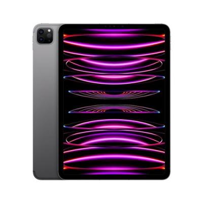 Tablette Apple iPad Pro 16GB 1TB 11``