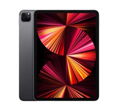 Apple iPad Pro 11" Wi-Fi 2021 2To gris sid&eacute;ral