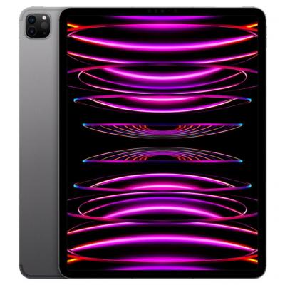 Apple iPad Pro 12,9" Wi-Fi + Cellular 2022 1To gris sid&eacute;ral