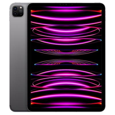 Apple iPad Pro M2 (2022) 11" Wi-Fi + Cellular 1 To Gris sid&eacute;ral