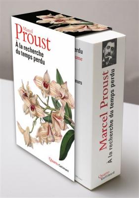 A la recherche du temps perdu (Grand format)
