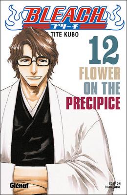 Bleach - Tome 12 - Flower on the precipice (Manga)