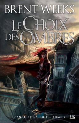 L'Ange de la Nuit, tome 2 : Le Choix des ombres