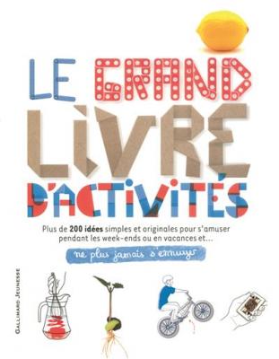 Le Grand Livre D'activit&eacute;s - Ne Plus Jamais S'ennuyer