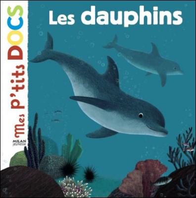 Mes ptits docsmes docs animes les dauphi