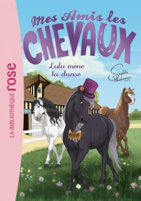 Mes amis les chevaux 22 - Lulu m&egrave;ne la danse (Poche)