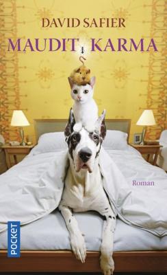Maudit karma - David Safier - Pocket - Poche - Roman