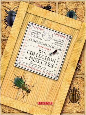Petite collection d'insectes de nos r&eacute;gions