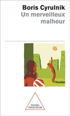 Un merveilleux malheur (Poche)