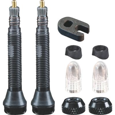 SCHWALBE Valve de pneu  tubeless 40 mm obus demontable vendu par 2