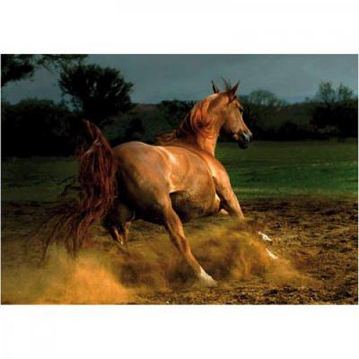 DTOYS Puzzle 1000 Pi&egrave;ces : Cheval chestnut, 