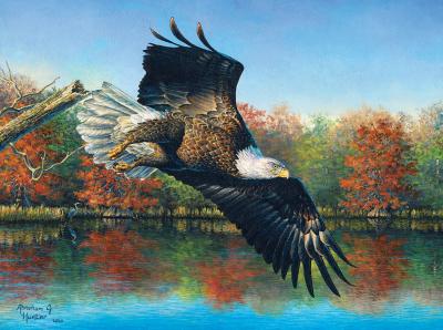SUNSOUT Puzzle Abraham Hunter - Wetlands Eagle 