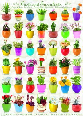 EUROGRAPHICS  Cacti and Succulents Jigsaw Puzzle (1000-Piece)