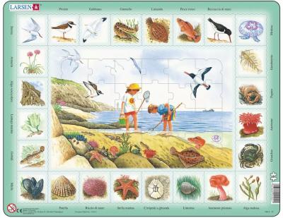 LARSEN Puzzle Cadre - Bord de mer (en italien) 