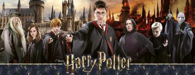 NATHAN Harry Potter - La Guerre des Sorciers 