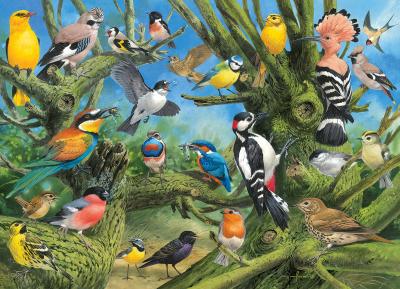 EUROGRAPHICS  Garden Birds by Joahn Francis 1000-Piece Puzzle