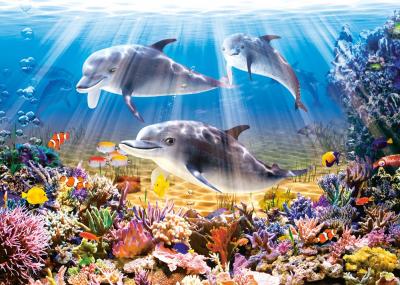 CASTORLAND  Dolphins Underwater, Puzzle 500 pi&egrave;ces - - Puzzle