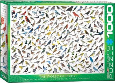 EUROGRAPHICS  The World of Birds (1000 Piece) Puzzle 