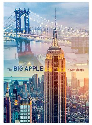 TREFL Puzzle 1000 Pi&egrave;ces : New York &agrave; l'Aube,  