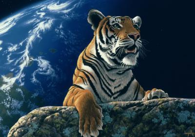 GRAFIKA Un seul &agrave; la maison - 2000 pi&egrave;ces 32587