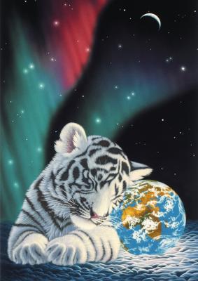 GRAFIKA Puzzle Schim Schimmel - Earth Lights 